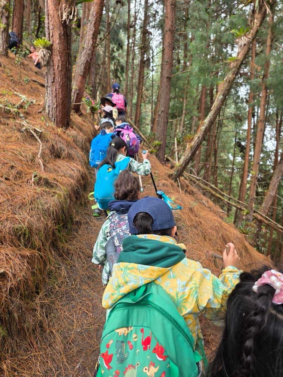Participantes de Alborada caminando juntos por un bosque