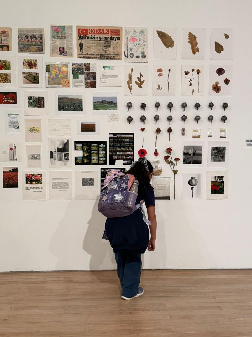 Participante de Alborada observando una muestra botánica