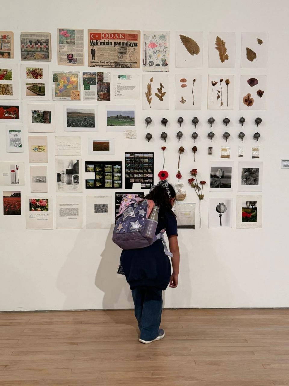 Participante de Alborada observando una exposición como experiencia de aprendizaje