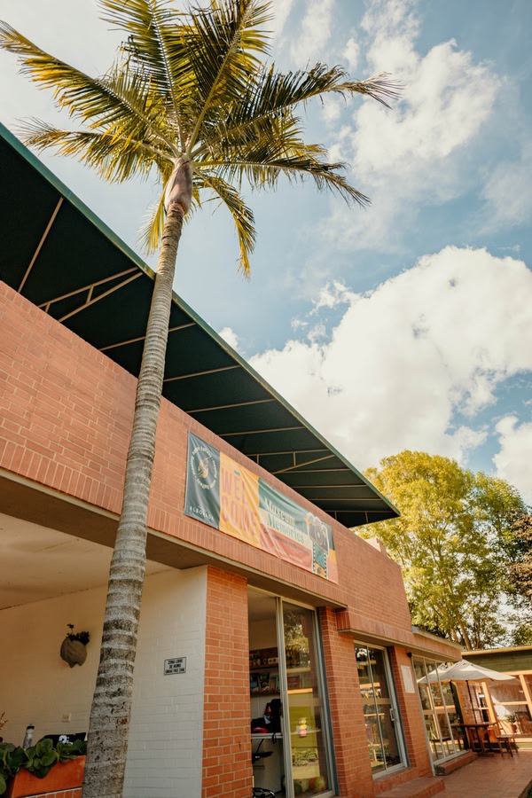 La vida del campus en el Colegio Alborada