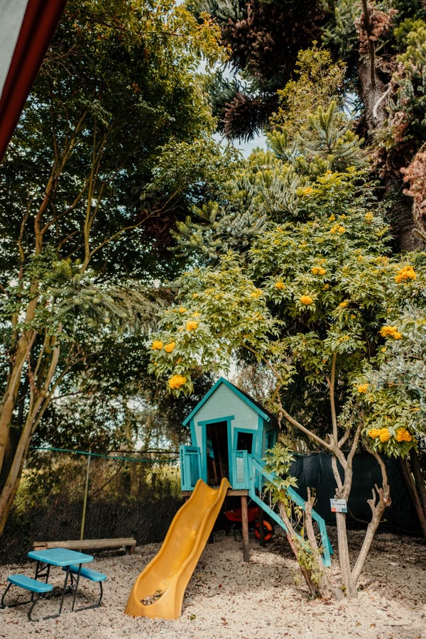 Naturaleza que acompaña en el Colegio Alborada