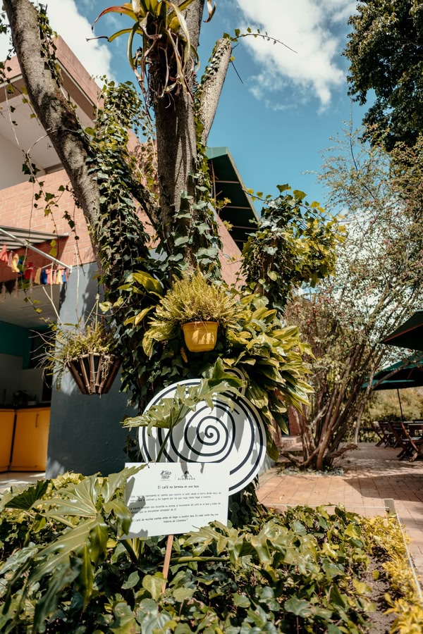 Jardines que enseñan en el Colegio Alborada