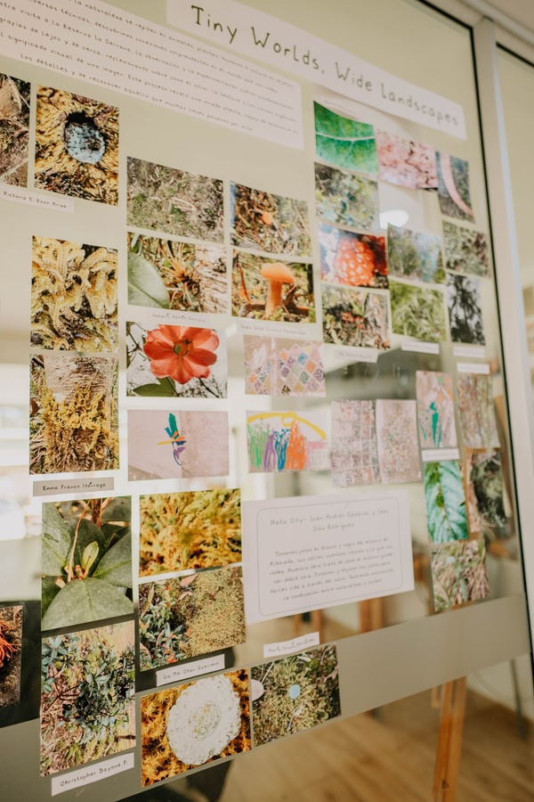 Tiny worlds, wide landscapes en el Colegio Alborada