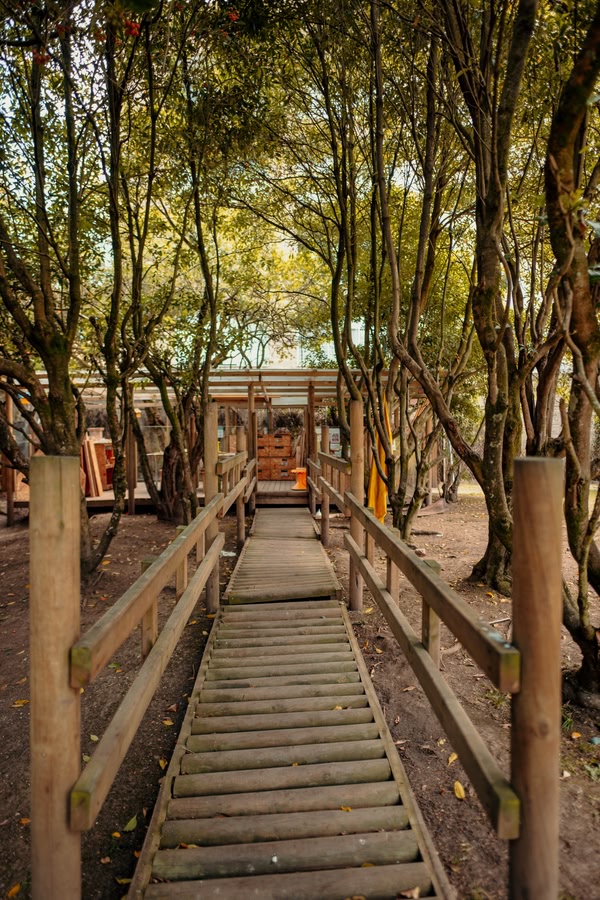 Caminos para descubrir en el Colegio Alborada