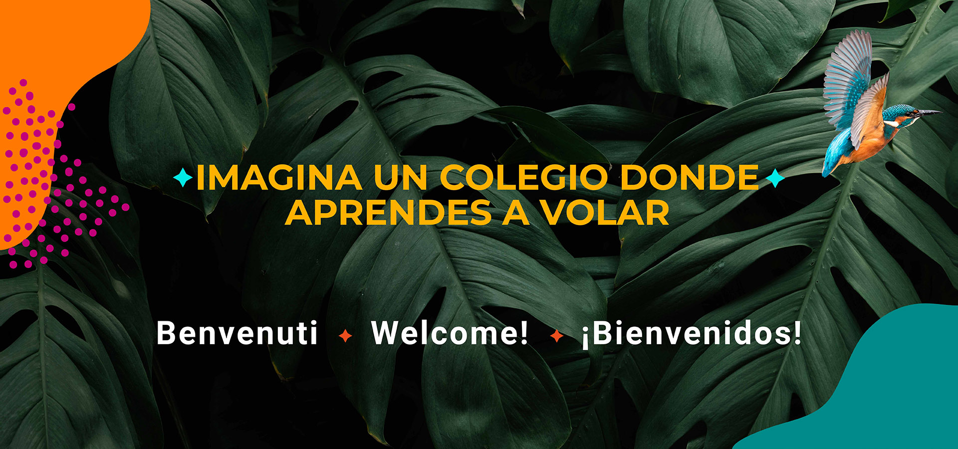Inicio - COLEGIO ALBORADA